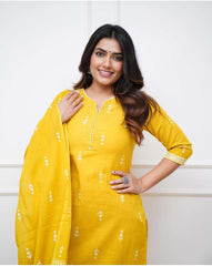 Beautiful salwar set - Eshana Collections