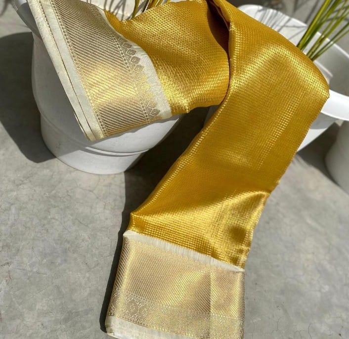 Premium quality banarasi glass tissue silk saree - Eshana Collections