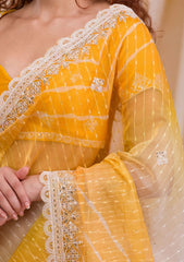 Organza Saree - Eshana Collections