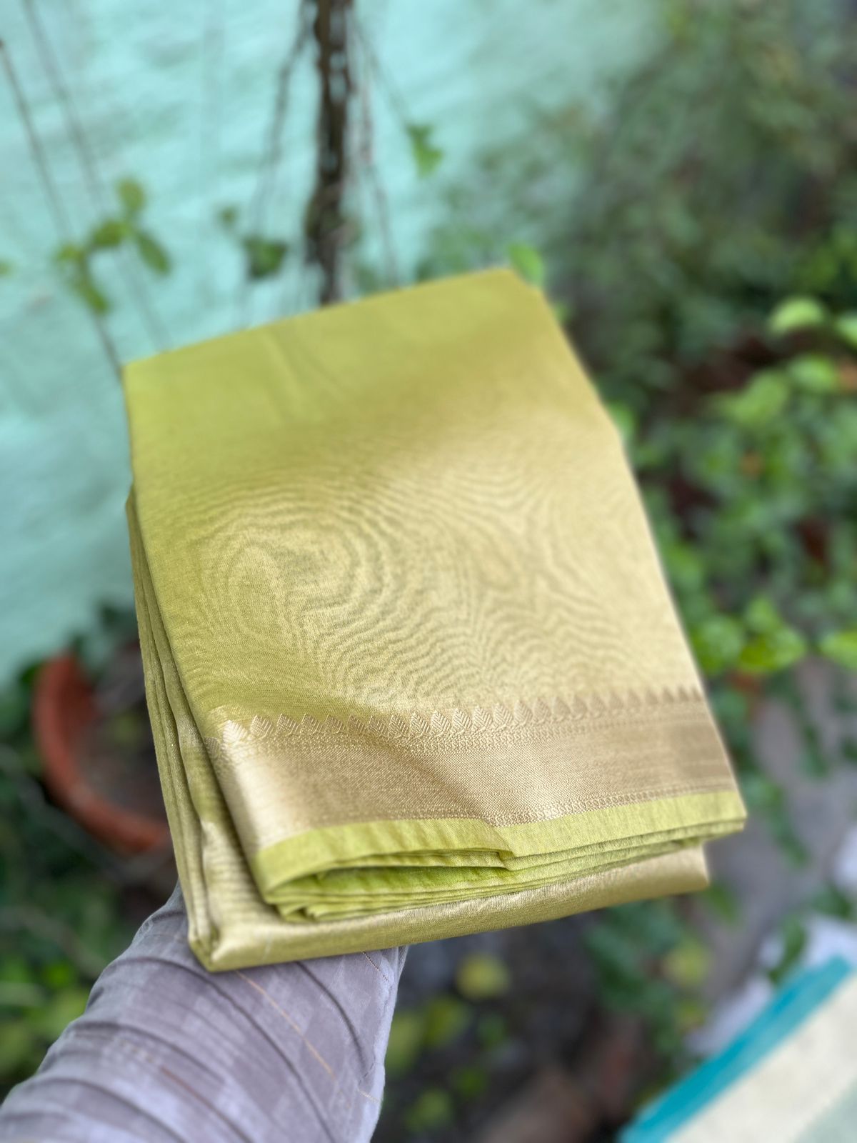Plain tissue sarees with border - Eshana Collections