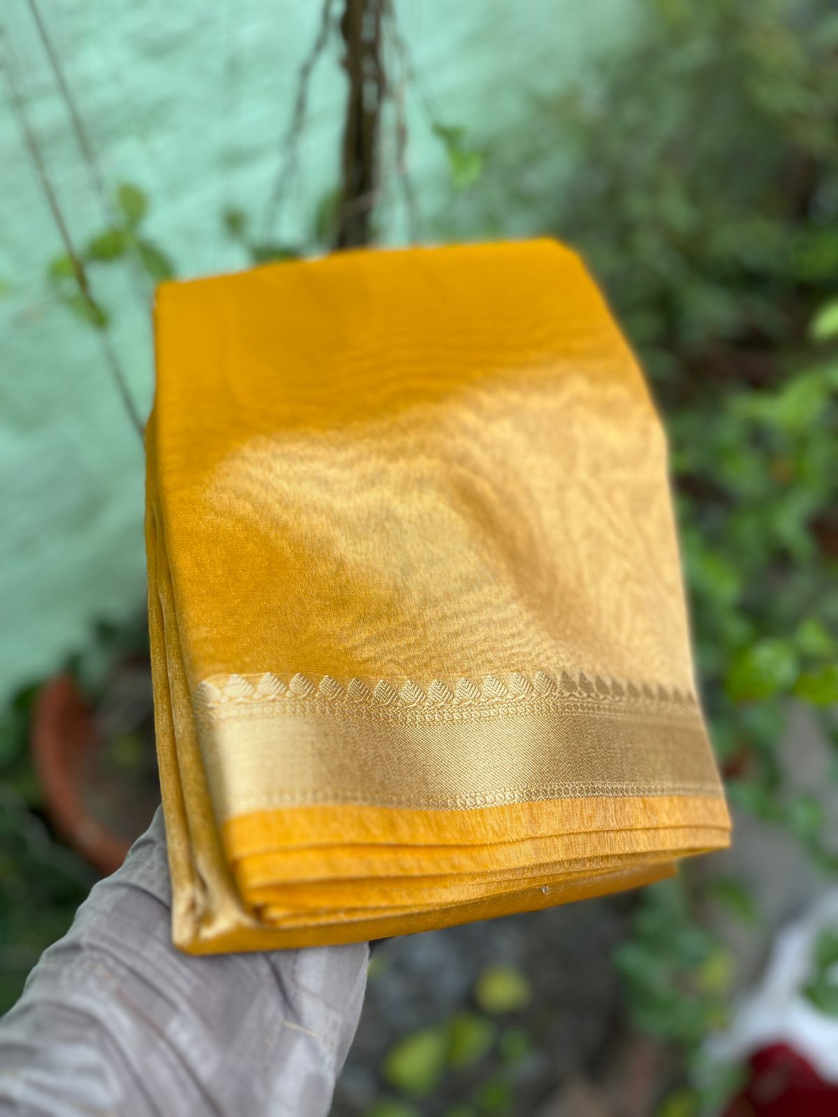 Plain tissue sarees with border - Eshana Collections
