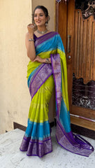 Dola silk saree - Eshana Collections