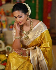Premium quality banarasi glass tissue silk saree - Eshana Collections